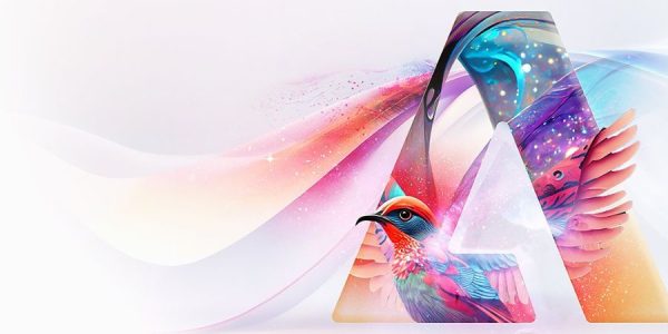 Kako izabrati pravu agenciju za Web Dizajn?